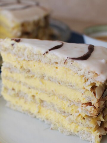 Slice of 4-layer torte filled with cream.