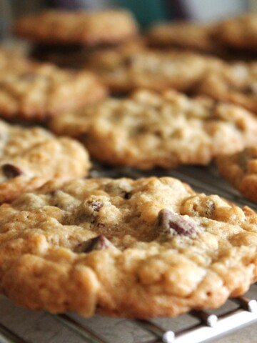 Oatmeal chocolate chip cookies, close up, on a cooling rack.