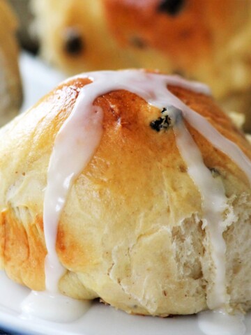 One hot cross bun on a white plate.