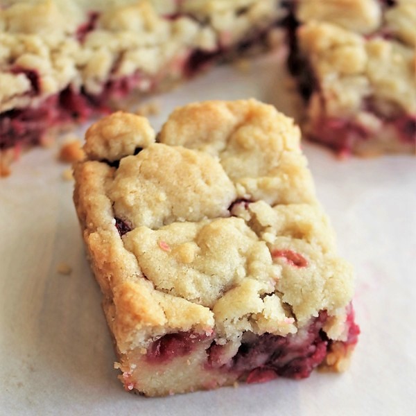 Fresh Cranberry Bars – My Recipe Reviews