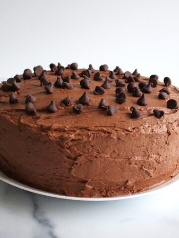 Whole vanilla sponge cake frosted with chocolate frosting and dotted with chocolate chips.